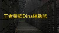 王者荣耀Dina辅助器-安卓版技能绘制免费插件